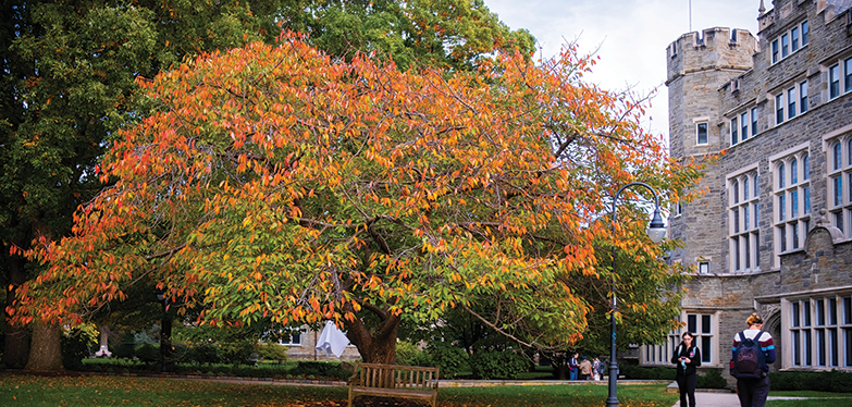 campus in the fall