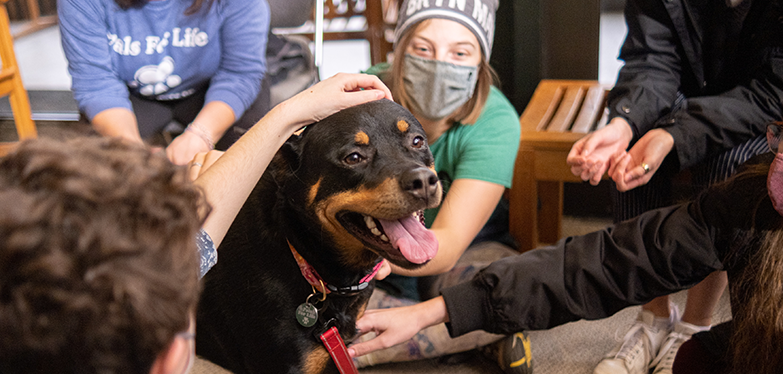 students with a dog