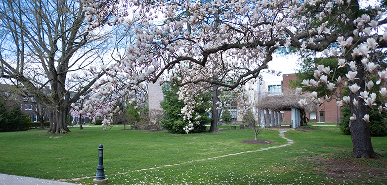 spring on campus