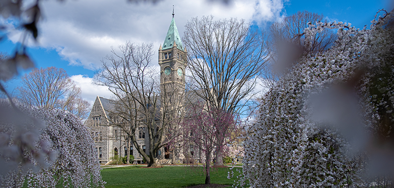 campus in the spring