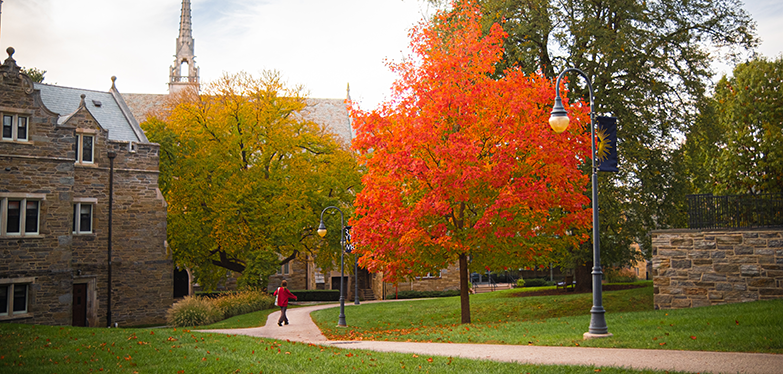 campus in the fall
