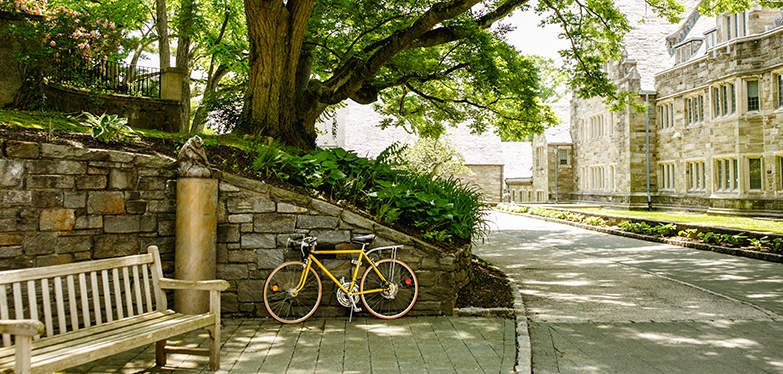 campus in the summer
